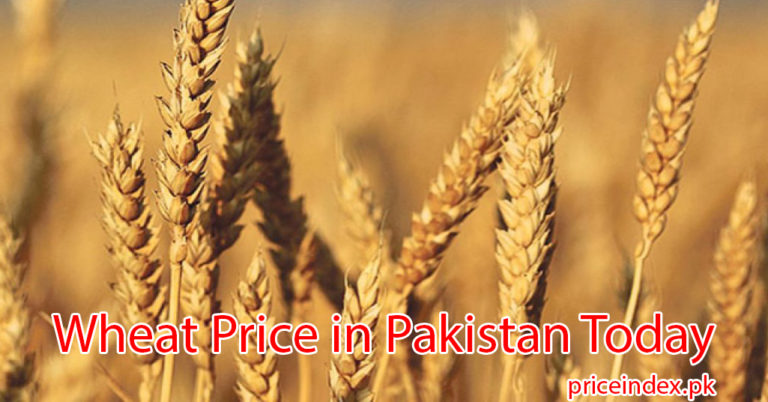 Wheat Rate Today in Pakistan 2023 Latest Wheat Prices