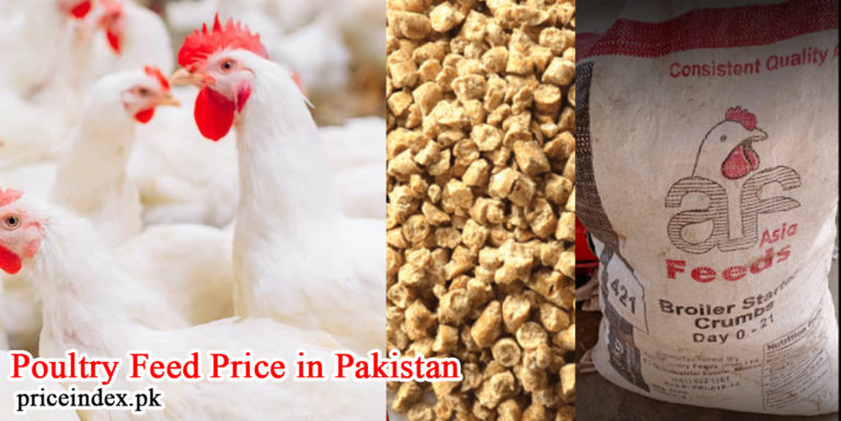 Poultry Feed Price in Pakistan 2023 Today Chicken Feed Per Bag Rates